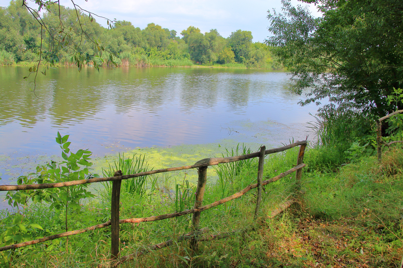 Lake with wooden railing