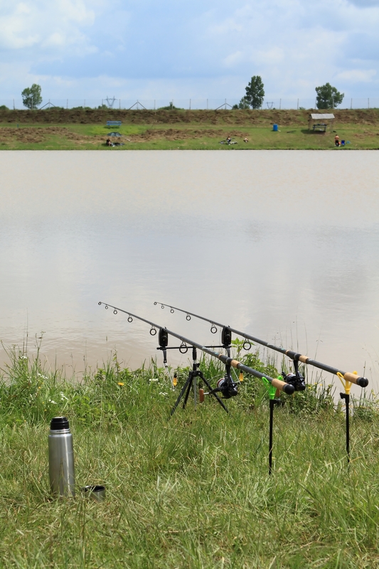 two fishing rods set up beside a lake