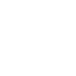 raindrop icon