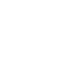 shovel icon