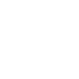 fish icon