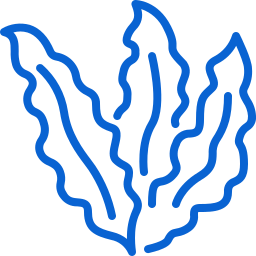 aquatic plant icon