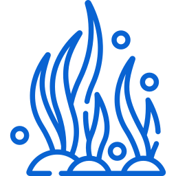 seaweed icon